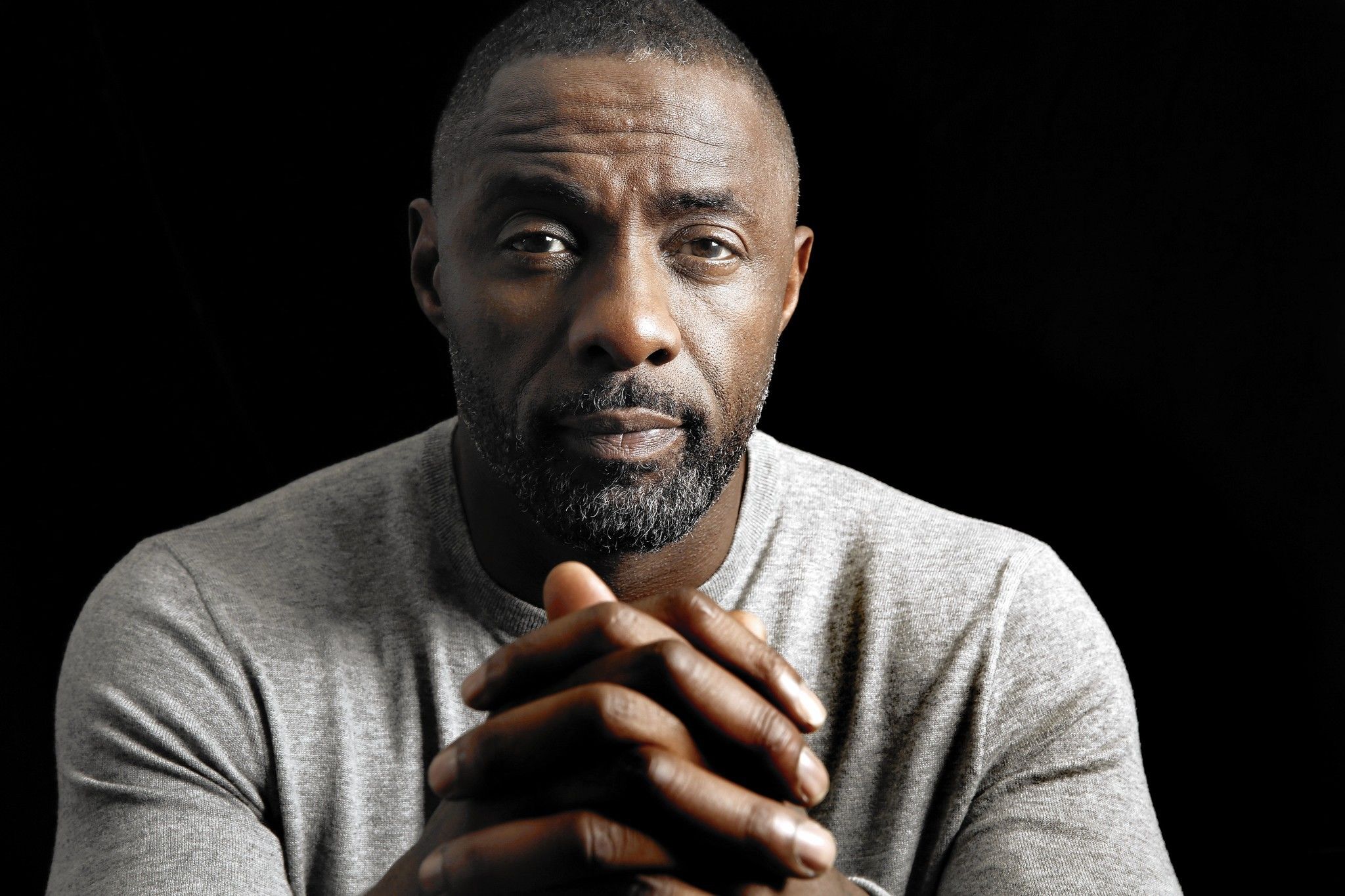 Idris Elba photos,Alfre Woodard photos,Mel Rodriguez photos,Guillermo del Toro photos,Amy Ryan photos,Evan Katz photos