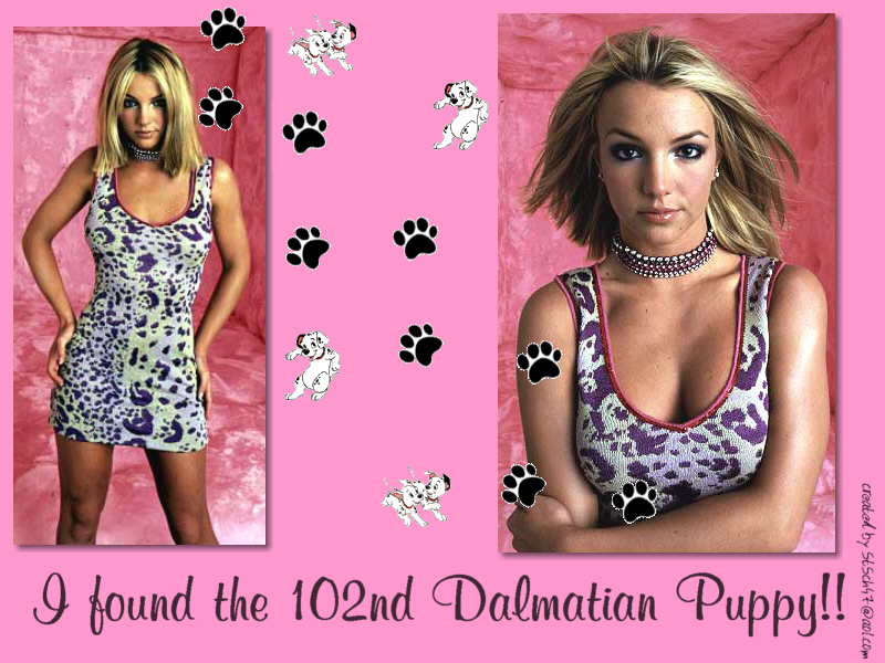 Britney Spears photos,Jonathan Lloyd Walker photos,Tom Pelphrey photos,Alex O'Loughlin photos,Nick Jonas photos,Richard J. Lewis photos