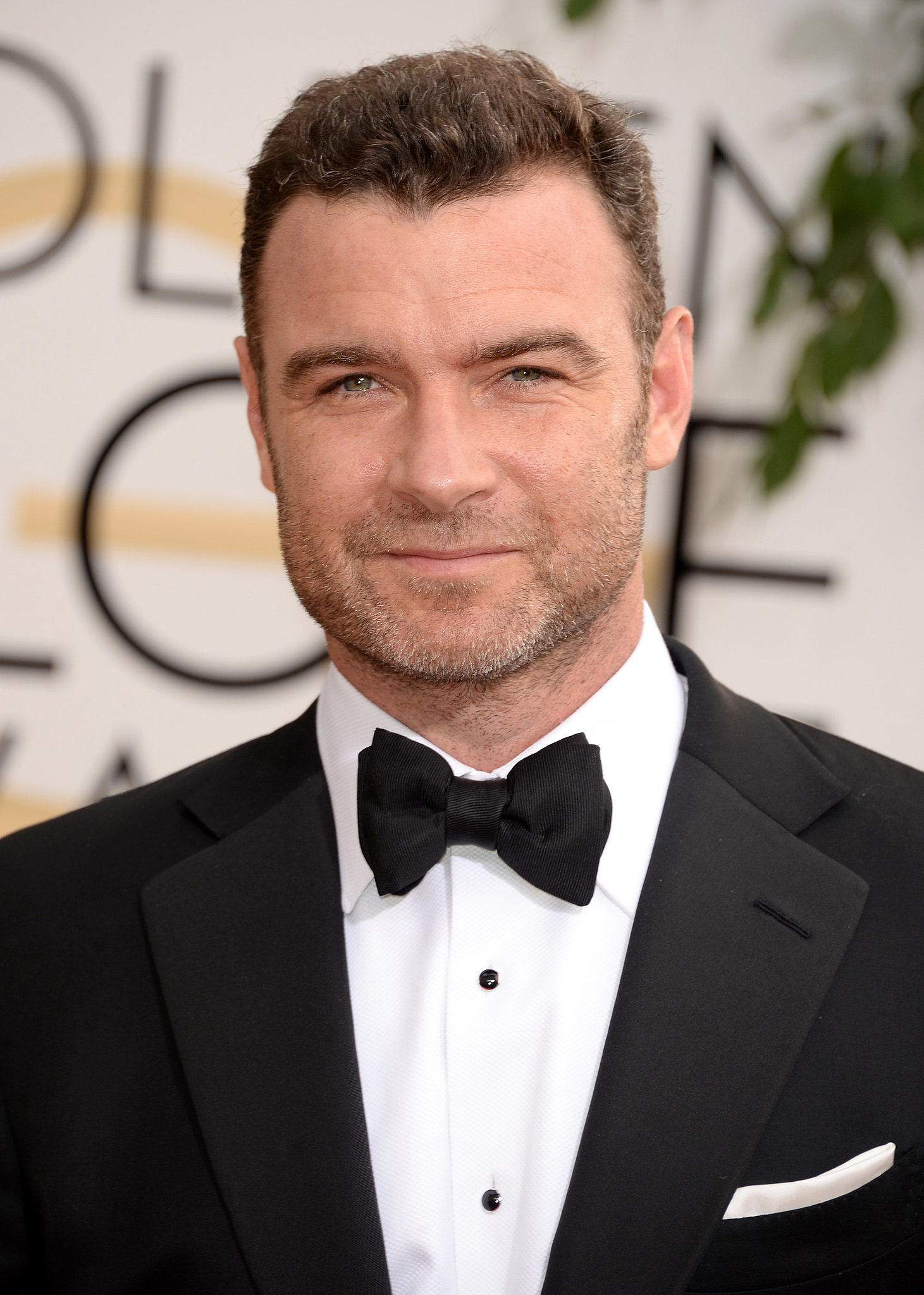 Liev Schreiber photos,Seamus Dever photos,Kenneth Johnson photos,Dominique Pinon photos,Marina Squerciati photos,Brooke Smith photos