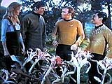 Startrek The Original Series photos,The Cage ,The Man Trap ,Charlie X ,Where No Man Has Gone Before ,The Naked Time ,The Enemy Within ,Mudd's Women ,What Are Little Girls Made Of? ,Miri ,Dagger of the Mind ,The Corbomite Maneuver ,The Menagerie, Part I ,The Menagerie, Part II ,The Conscience of the King ,Balance of Terror ,Shore Leave ,The Galileo Seven ,The Squire of Gothos ,Arena ,Tomorrow Is Yesterday ,Court Martial ,The Return of the Archons ,Space Seed ,A Taste of Armageddon ,This Side of Paradise ,The Devil in the Dark ,Errand of Mercy ,The Alternative Factor ,The City on the Edge of Forever ,Operation: Annihilate! ,Amok Time ,Who Mourns for Adonais? ,The Changeling ,Mirror, Mirror ,The Apple ,The Doomsday Machine ,Catspaw ,I, Mudd ,Metamorphosis ,Journey to Babel ,Friday's Child ,The Deadly Years ,Obsession ,Wolf in the Fold ,The Trouble With Tribbles ,The Gamesters of Triskelion ,A Piece of the Action ,The Immunity Syndrome ,A Private Little War ,Return to Tomorrow ,Patterns of Force ,By Any Other Name ,The Omega Glory ,The Ultimate Computer ,Bread and Circuses ,Assignment: Earth ,Spock's Brain ,The Enterprise Incident ,The Paradise Syndrome ,And the Children Shall Lead ,Is There In Truth No Beauty? ,Spectre of the Gun ,Day of the Dove ,For the World Is Hollow and I Have Touched the Sky ,The Tholian Web ,Plato's Stepchildren ,Wink of an Eye ,The Empath ,Elaan of Troyius ,Whom Gods Destroy ,Let That Be Your Last Battlefield ,The Mark of Gideon ,That Which Survives ,The Lights of Zetar ,Requiem for Methuselah ,The Way to Eden ,The Cloud Minders ,The Savage Curtain ,All Our Yesterdays ,Turnabout Intruder ,The Menagerie (1) ,The Menagerie (2) 
