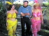 Startrek The Original Series photos,The Cage ,The Man Trap ,Charlie X ,Where No Man Has Gone Before ,The Naked Time ,The Enemy Within ,Mudd's Women ,What Are Little Girls Made Of? ,Miri ,Dagger of the Mind ,The Corbomite Maneuver ,The Menagerie, Part I ,The Menagerie, Part II ,The Conscience of the King ,Balance of Terror ,Shore Leave ,The Galileo Seven ,The Squire of Gothos ,Arena ,Tomorrow Is Yesterday ,Court Martial ,The Return of the Archons ,Space Seed ,A Taste of Armageddon ,This Side of Paradise ,The Devil in the Dark ,Errand of Mercy ,The Alternative Factor ,The City on the Edge of Forever ,Operation: Annihilate! ,Amok Time ,Who Mourns for Adonais? ,The Changeling ,Mirror, Mirror ,The Apple ,The Doomsday Machine ,Catspaw ,I, Mudd ,Metamorphosis ,Journey to Babel ,Friday's Child ,The Deadly Years ,Obsession ,Wolf in the Fold ,The Trouble With Tribbles ,The Gamesters of Triskelion ,A Piece of the Action ,The Immunity Syndrome ,A Private Little War ,Return to Tomorrow ,Patterns of Force ,By Any Other Name ,The Omega Glory ,The Ultimate Computer ,Bread and Circuses ,Assignment: Earth ,Spock's Brain ,The Enterprise Incident ,The Paradise Syndrome ,And the Children Shall Lead ,Is There In Truth No Beauty? ,Spectre of the Gun ,Day of the Dove ,For the World Is Hollow and I Have Touched the Sky ,The Tholian Web ,Plato's Stepchildren ,Wink of an Eye ,The Empath ,Elaan of Troyius ,Whom Gods Destroy ,Let That Be Your Last Battlefield ,The Mark of Gideon ,That Which Survives ,The Lights of Zetar ,Requiem for Methuselah ,The Way to Eden ,The Cloud Minders ,The Savage Curtain ,All Our Yesterdays ,Turnabout Intruder ,The Menagerie (1) ,The Menagerie (2) 