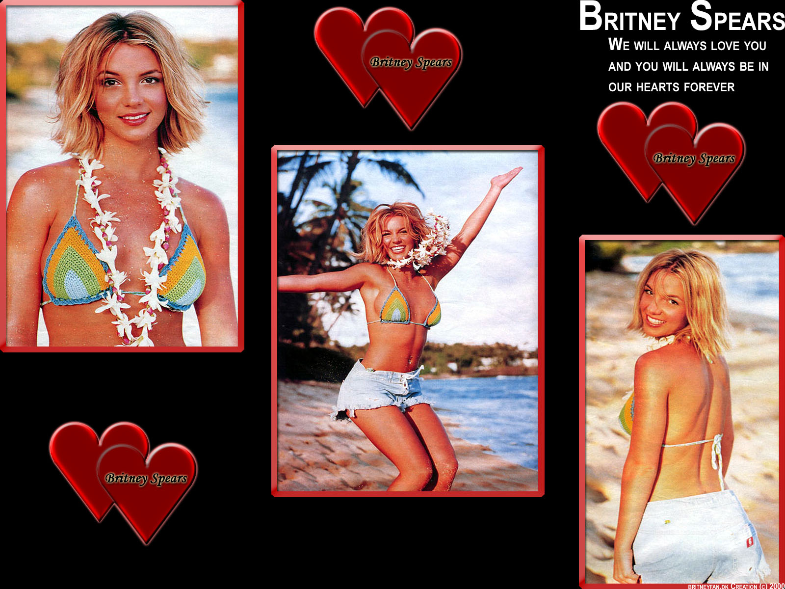 Britney Spears photos,Matthew Gray Gubler photos,David Berry photos,Jenji Kohan photos,Aaron Sorkin photos,Matt Long photos
