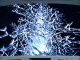 Silicon Avatar episode synopsis,reviews,forums,photos,The Last Outpost episode synopsis,The Dauphin episode synopsis,The Host episode synopsis