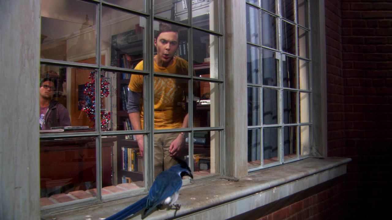 The Ornithophobia Diffusion episode synopsis,reviews,forums,photos,