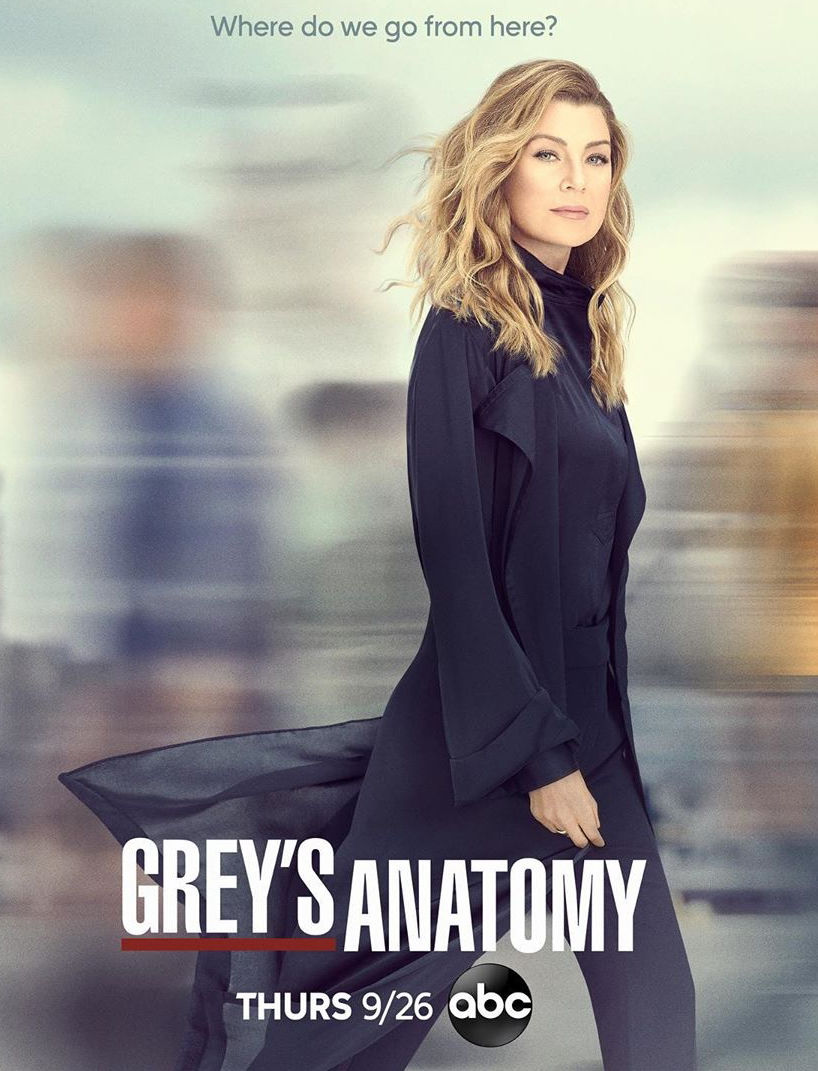 Grey's Anatomy episodes synopsis,