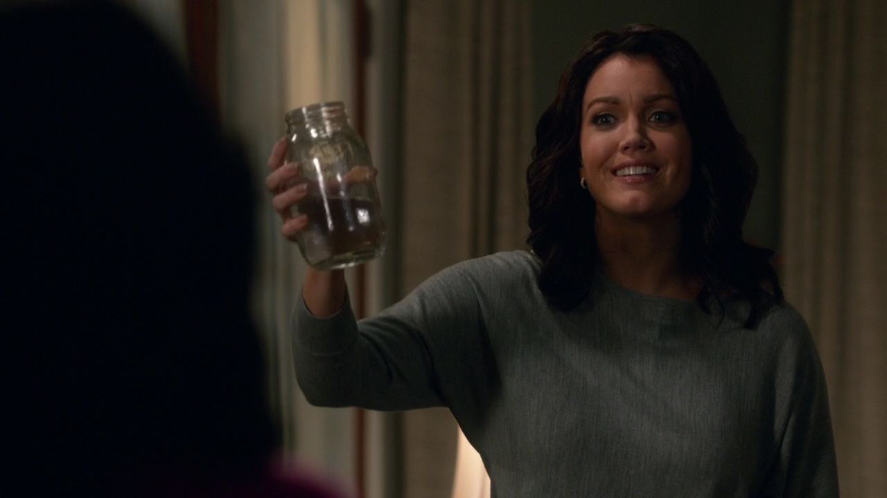 The Candidate episode synopsis,reviews,forums,photos,