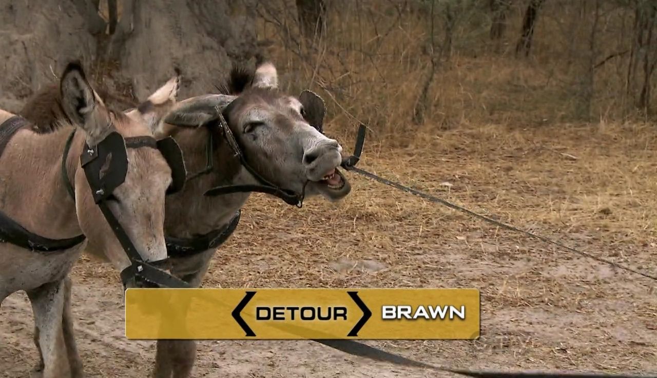 Be Safe and Don't Hit a Cow episode synopsis,reviews,forums,photos,