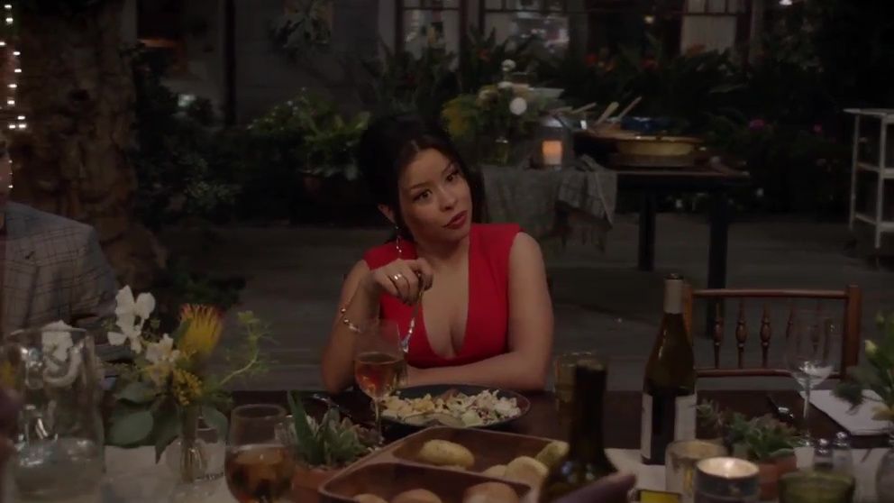 Meet the Fosters episode synopsis,reviews,forums,photos,