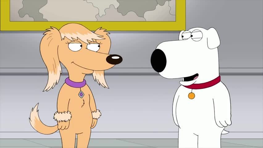 Boy (Dog) Meets Girl (Dog) episode synopsis,reviews,forums,photos,