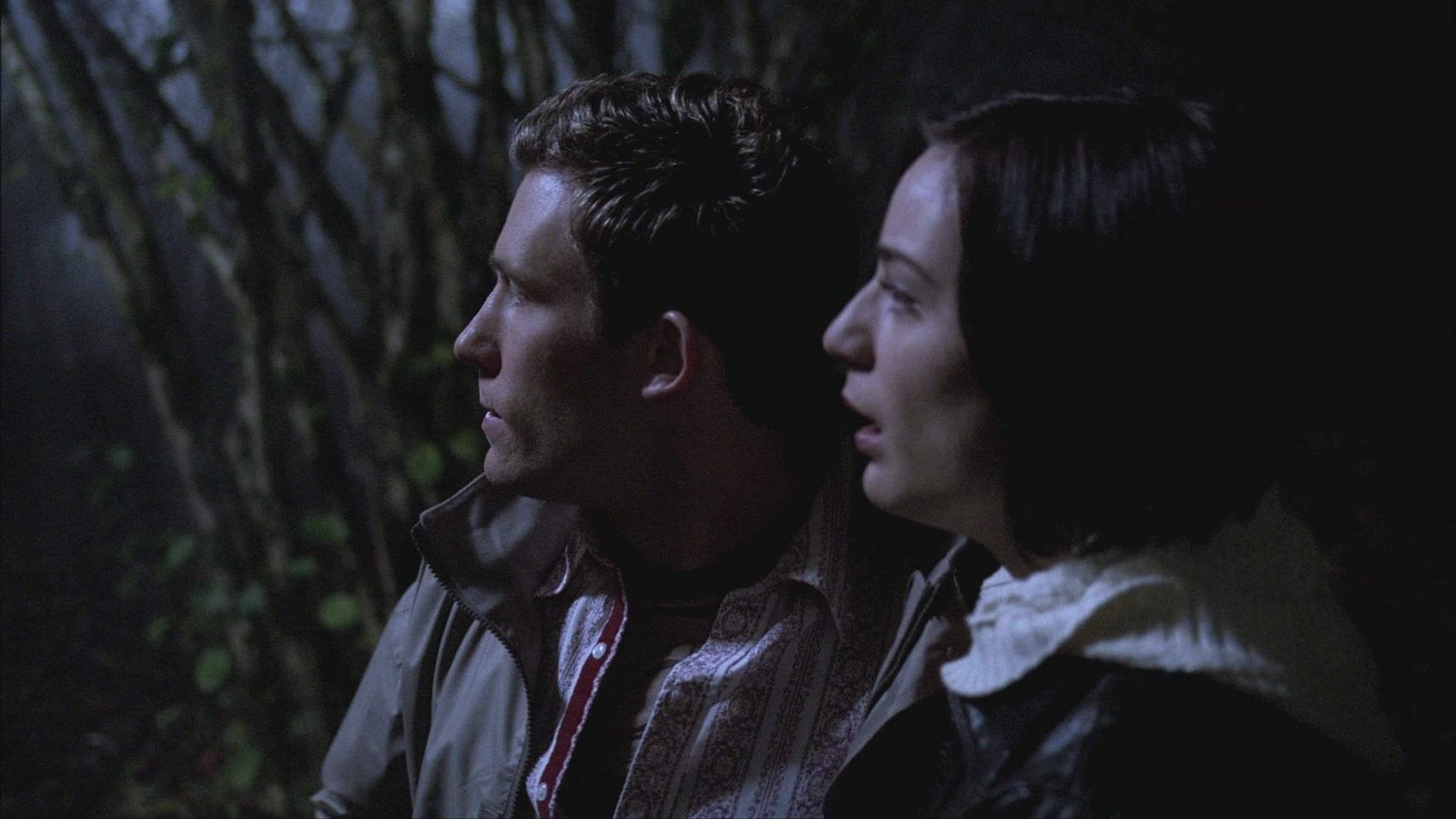 Scarecrow episode synopsis,reviews,forums,photos,