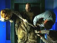 Fur and Loathing episode synopsis,reviews,forums,photos,