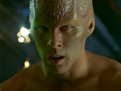 My Three Crichtons episode synopsis,reviews,forums,photos,
