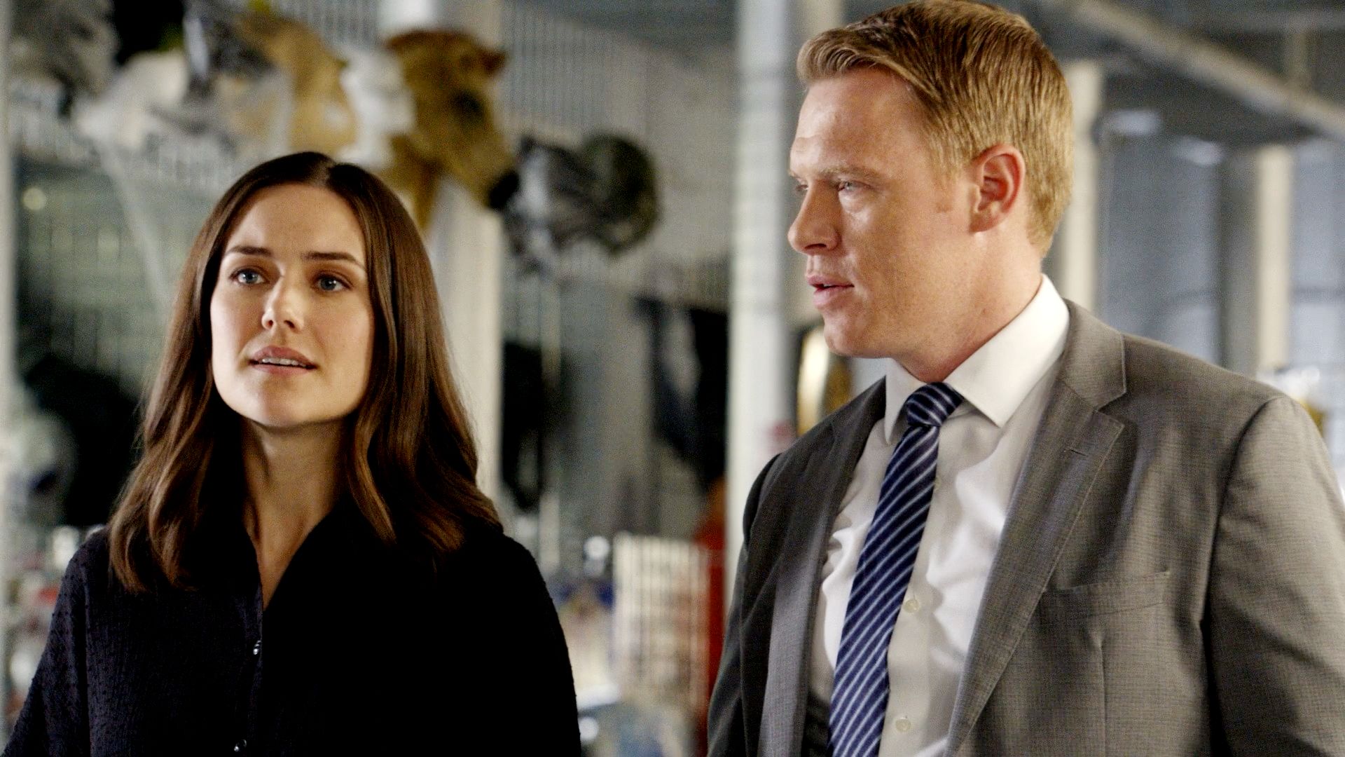 Louis T. Steinhil: Conclusion episode synopsis,reviews,forums,photos,