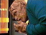 Startrek Voyager,Caretaker, Part I ,Caretaker, Part II ,Parallax ,Time and Again ,Phage ,The Cloud ,Eye of the Needle ,Ex Post Facto ,Emanations ,Prime Factors ,State of Flux ,Heroes and Demons ,Cathexis ,Faces ,Jetrel ,Learning Curve ,The 37's ,Initiations ,Projections ,Elogium ,Non Sequitur ,Twisted ,Parturition ,Persistence of Vision ,Tattoo ,Cold Fire ,Maneuvers ,Resistance ,Prototype ,Alliances ,Threshold ,Meld ,Dreadnought ,Death Wish ,Lifesigns ,Investigations ,Deadlock ,Innocence ,The Thaw ,Tuvix ,Resolutions ,Basics, Part I ,Basics, Part II ,Flashback ,The Chute ,The Swarm ,False Profits ,Remember ,Sacred Ground ,Future's End, Part I ,Future's End, Part II ,Warlord ,The Q and the Grey ,Macrocosm ,Fair Trade ,Alter Ego ,Coda ,Blood Fever ,Unity ,Darkling ,Rise ,Favorite Son ,Before and After ,Real Life ,Distant Origin ,Worst Case Scenario ,Displaced ,Scorpion, Part I ,Scorpion, Part II ,The Gift ,Day of Honor ,Nemesis ,Revulsion ,The Raven ,Scientific Method ,Year of Hell, Part I ,Year of Hell, Part II ,Random Thoughts ,Concerning Flight ,Mortal Coil ,Waking Moments ,Message in a Bottle ,Hunters ,Prey ,Retrospect ,The Killing Game, Part I ,The Killing Game, Part II ,Vis a Vis ,The Omega Directive ,Unforgettable ,Living Witness ,Demon ,One ,Hope and Fear ,Night ,Drone ,Extreme Risk ,In the Flesh ,Once Upon a Time ,Timeless ,Infinite Regress ,Nothing Human ,Thirty Days ,Counterpoint ,Latent Image ,Bride of Chaotica! ,Gravity ,Bliss ,Dark Frontier, Part I ,Dark Frontier, Part II ,The Disease ,Course: Oblivion ,The Fight ,Think Tank ,Juggernaut ,Someone to Watch Over Me ,11:59 ,Relativity ,Warhead ,Equinox, Part I ,Equinox, Part II ,Survival Instinct ,Barge of the Dead ,Tinker, Tenor, Doctor, Spy ,Alice ,Riddles ,Dragon's Teeth ,One Small Step ,The Voyager Conspiracy ,Pathfinder ,Fair Haven ,Blink of an Eye ,Virtuoso ,Memorial ,Tsunkatse ,Collective ,Spirit Folk ,Ashes to Ashes ,Child's Play ,Good Shepherd ,Live Fast and Prosper ,Muse ,Fury ,Life Line ,The Haunting of Deck Twelve ,Unimatrix Zero, Part I ,Unimatrix Zero, Part II ,Imperfection ,Drive ,Repression ,Critical Care ,Inside Man ,Body and Soul ,Nightingale ,Flesh and Blood, Part I ,Flesh and Blood, Part II ,Shattered ,Lineage ,Repentance ,Prophecy ,The Void ,Workforce, Part I ,Workforce, Part II ,Human Error ,Q2 ,Author, Author ,Friendship One ,Natural Law ,Homestead ,Renaissance Man ,Endgame, Part I ,Endgame, Part II ,The Darkling ,Vis Ã  Vis 