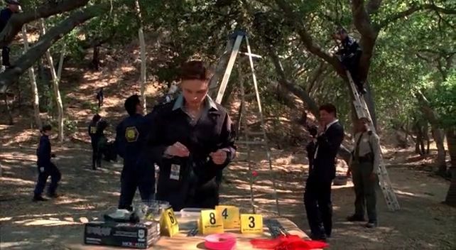 The Bone That Blew episode synopsis,reviews,forums,photos,