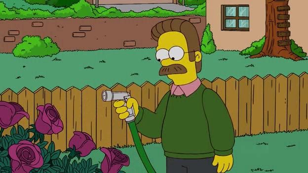 The Bob Next Door episode synopsis,reviews,forums,photos,