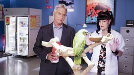 Privileged Information episode synopsis,reviews,forums,photos,