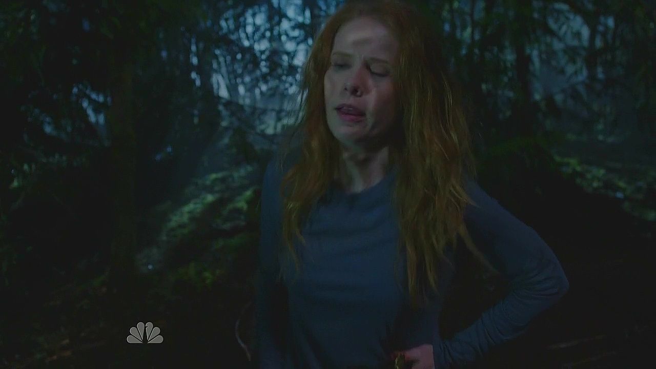 Iron Hans episode synopsis,reviews,forums,photos,