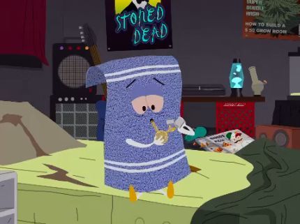 Towelie episode synopsis,reviews,forums,photos,