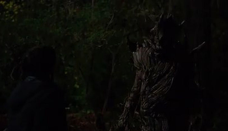 Tree People episode synopsis,reviews,forums,photos,