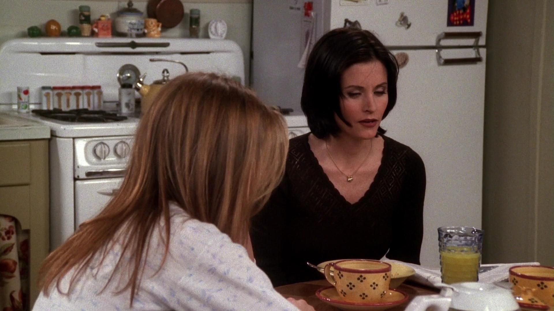 The One With All the Haste episode synopsis,reviews,forums,photos,