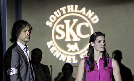 Out of the Past episode synopsis,reviews,forums,photos,