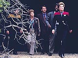 The 37's episode synopsis,reviews,forums,photos,