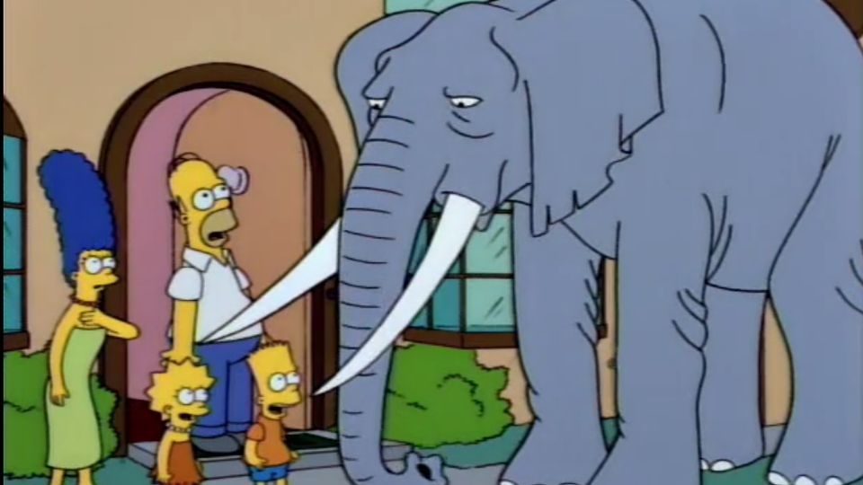 Bart Gets an Elephant episode synopsis,reviews,forums,photos,