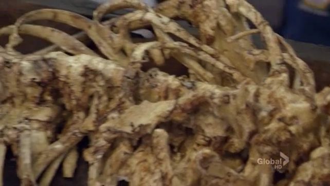 The Twisted Bones in the Melted Truck episode synopsis,reviews,forums,photos,