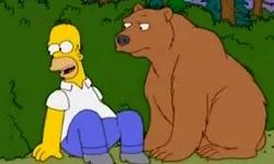 The Fat and the Furriest episode synopsis,reviews,forums,photos,
