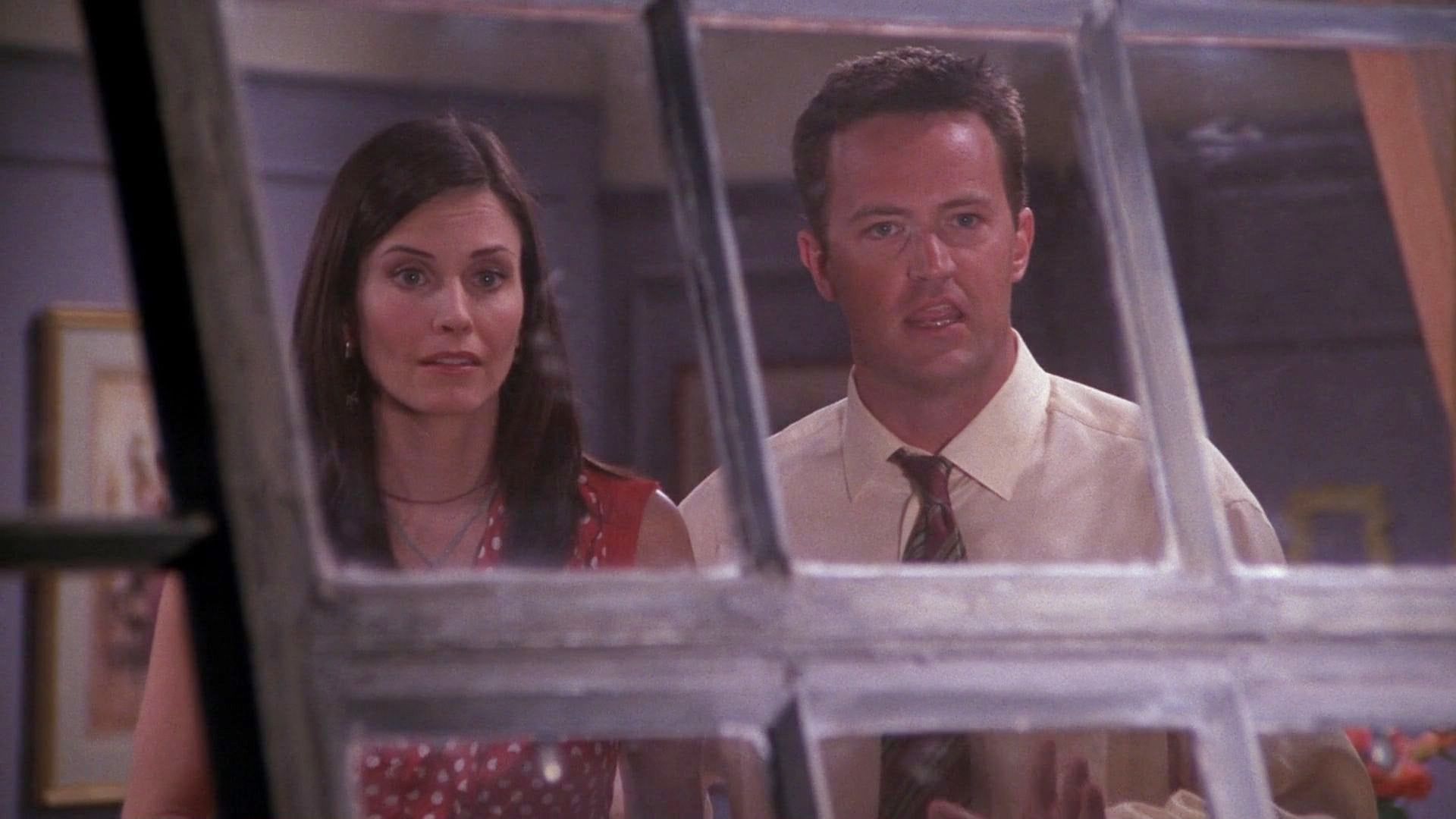 The One With the Donor episode synopsis,reviews,forums,photos,