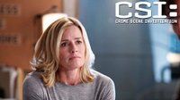 Boston Brakes episode synopsis,reviews,forums,photos,