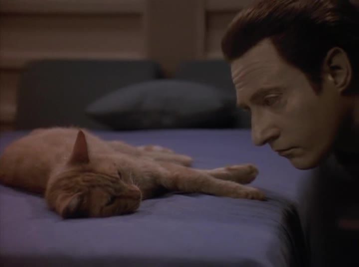 Phantasms episode synopsis,reviews,forums,photos,Encounter at Farpoint, Part II episode synopsis,Manhunt episode synopsis