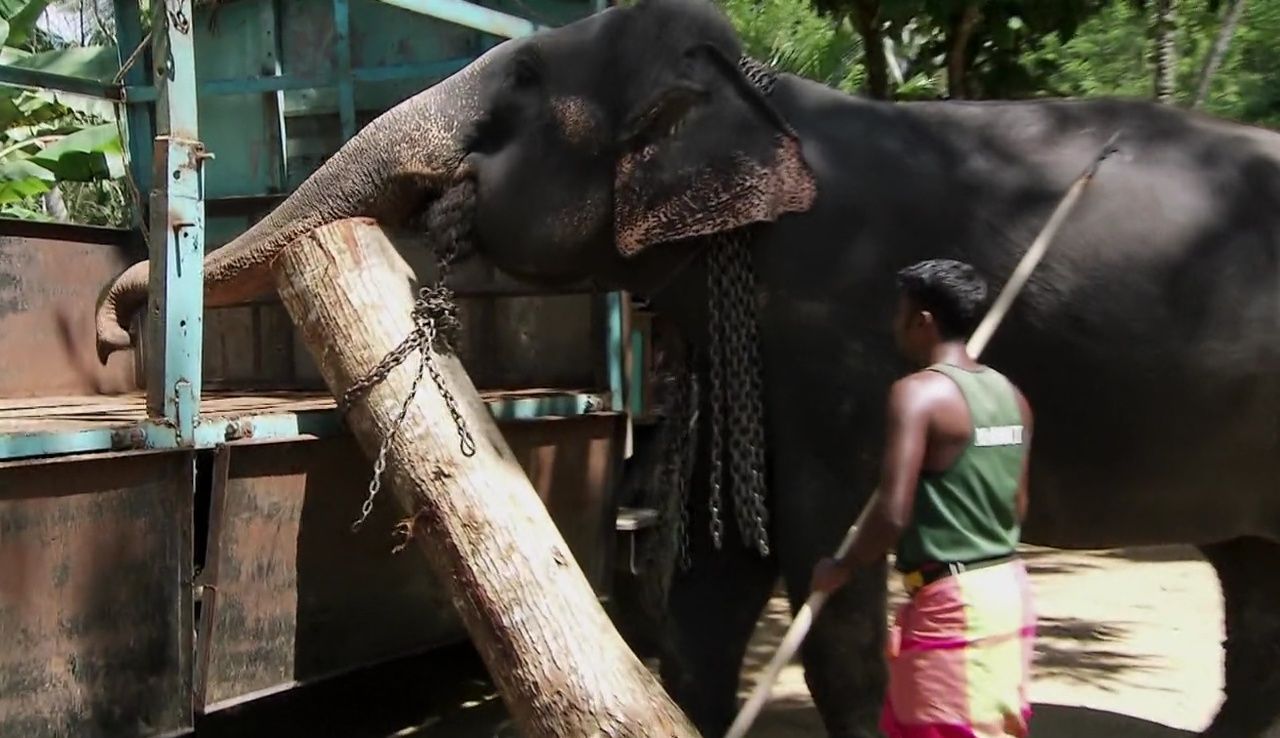 Down and Dirty episode synopsis,reviews,forums,photos,