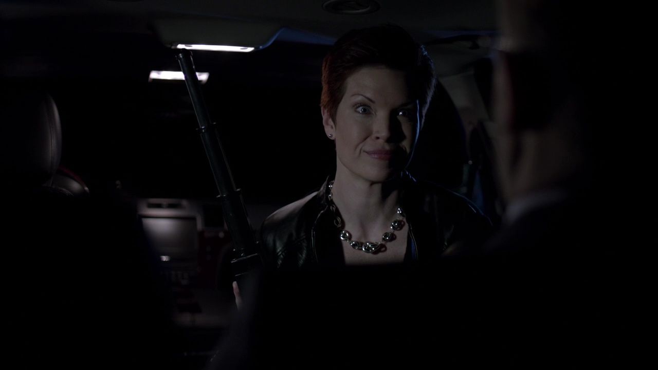 Shape Shifted episode synopsis,reviews,forums,photos,