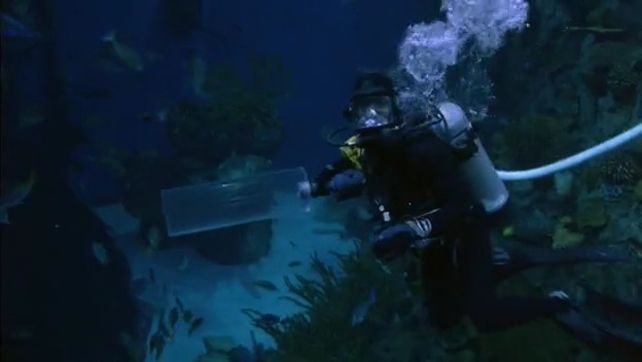 The Predator in the Pool episode synopsis,reviews,forums,photos,