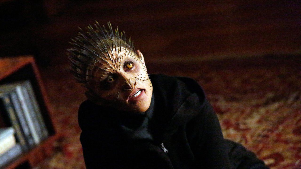Afterlife episode synopsis,reviews,forums,photos,
