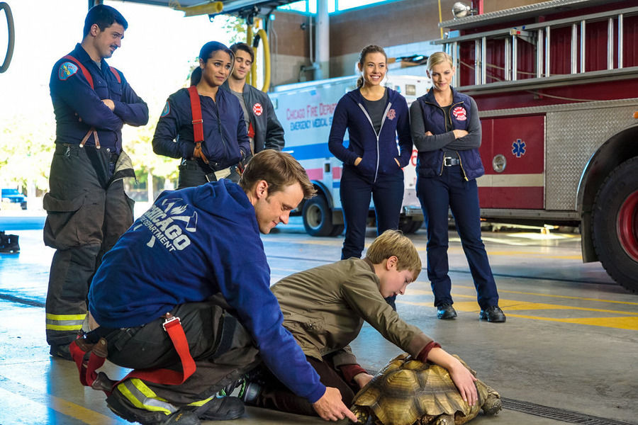 When Tortoises Fly episode synopsis,reviews,forums,photos,