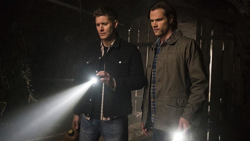 The Chitters episode synopsis,reviews,forums,photos,