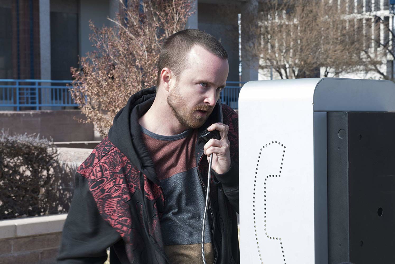 Rabid Dog episode synopsis,reviews,forums,photos,
