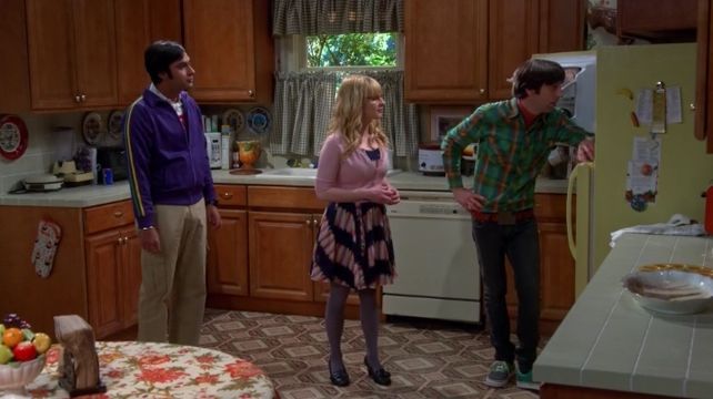 The Leftover Thermalization episode synopsis,reviews,forums,photos,