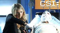 Torch Song episode synopsis,reviews,forums,photos,