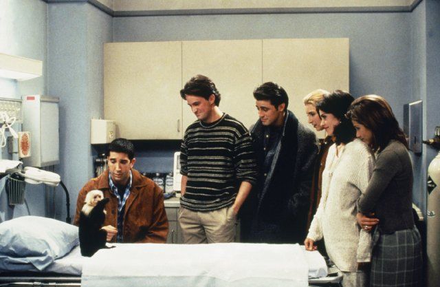 The One With Two Parts (2) episode synopsis,reviews,forums,photos,