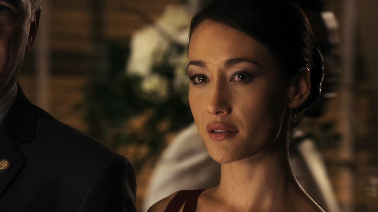 Phoenix episode synopsis,reviews,forums,photos,