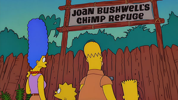 Simpsons Safari episode synopsis,reviews,forums,photos,
