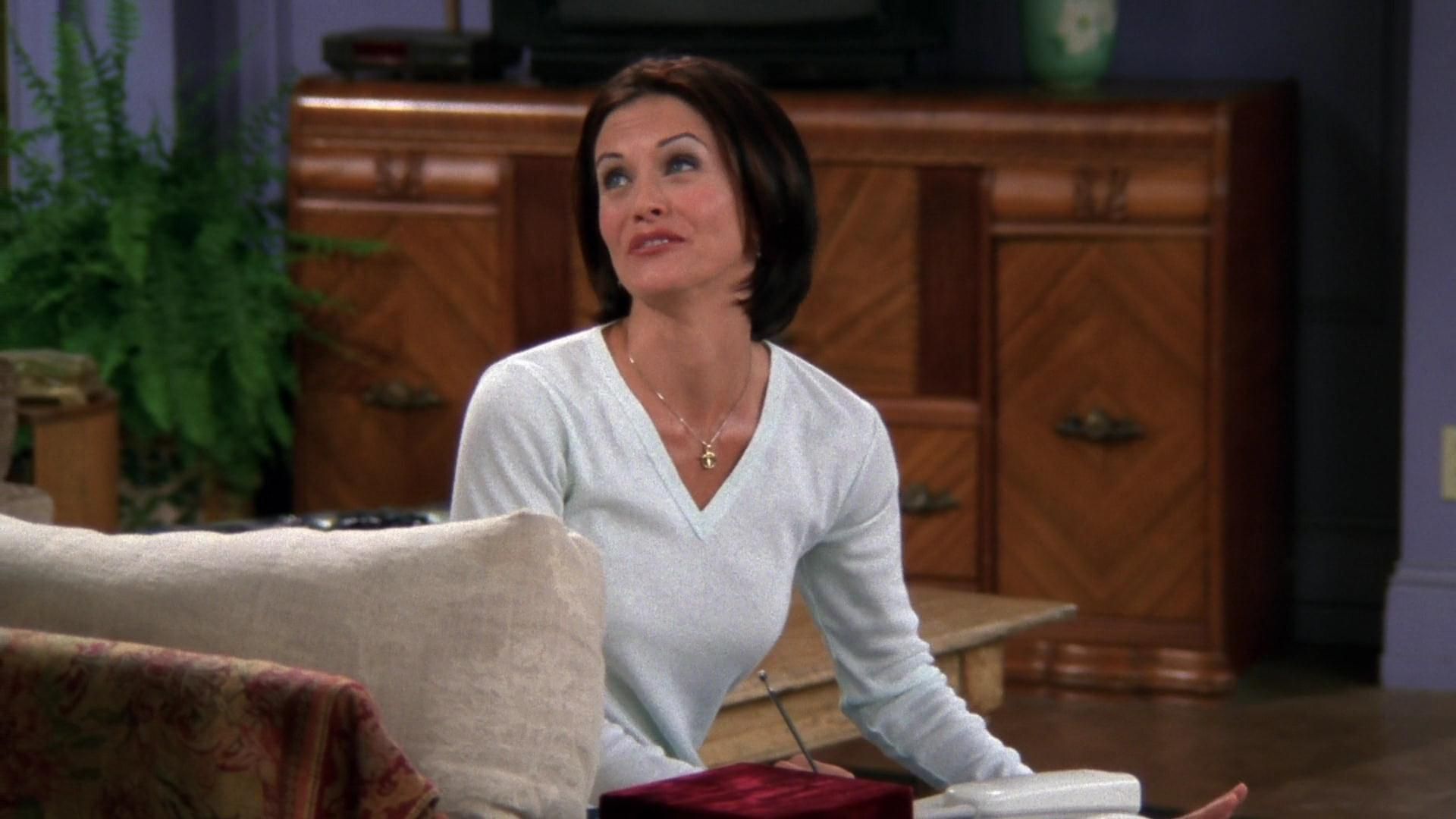 The One With the Cat episode synopsis,reviews,forums,photos,