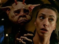 Beware of Dog episode synopsis,reviews,forums,photos,