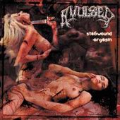 See Avulsed's album -  songs & lyrics.