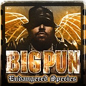 See Big Punisher's album -  songs & lyrics.