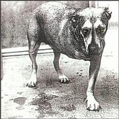 Check out lyrics of Alice In Chains's album Alice In Chains